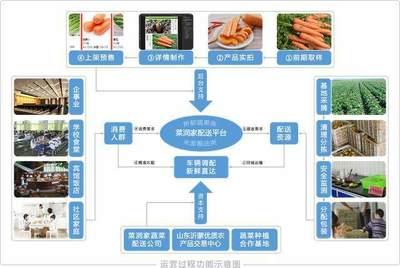 “互聯(lián)網(wǎng)+基地+用戶(hù)” 構(gòu)建高效透明的農(nóng)產(chǎn)品放心供應(yīng)鏈